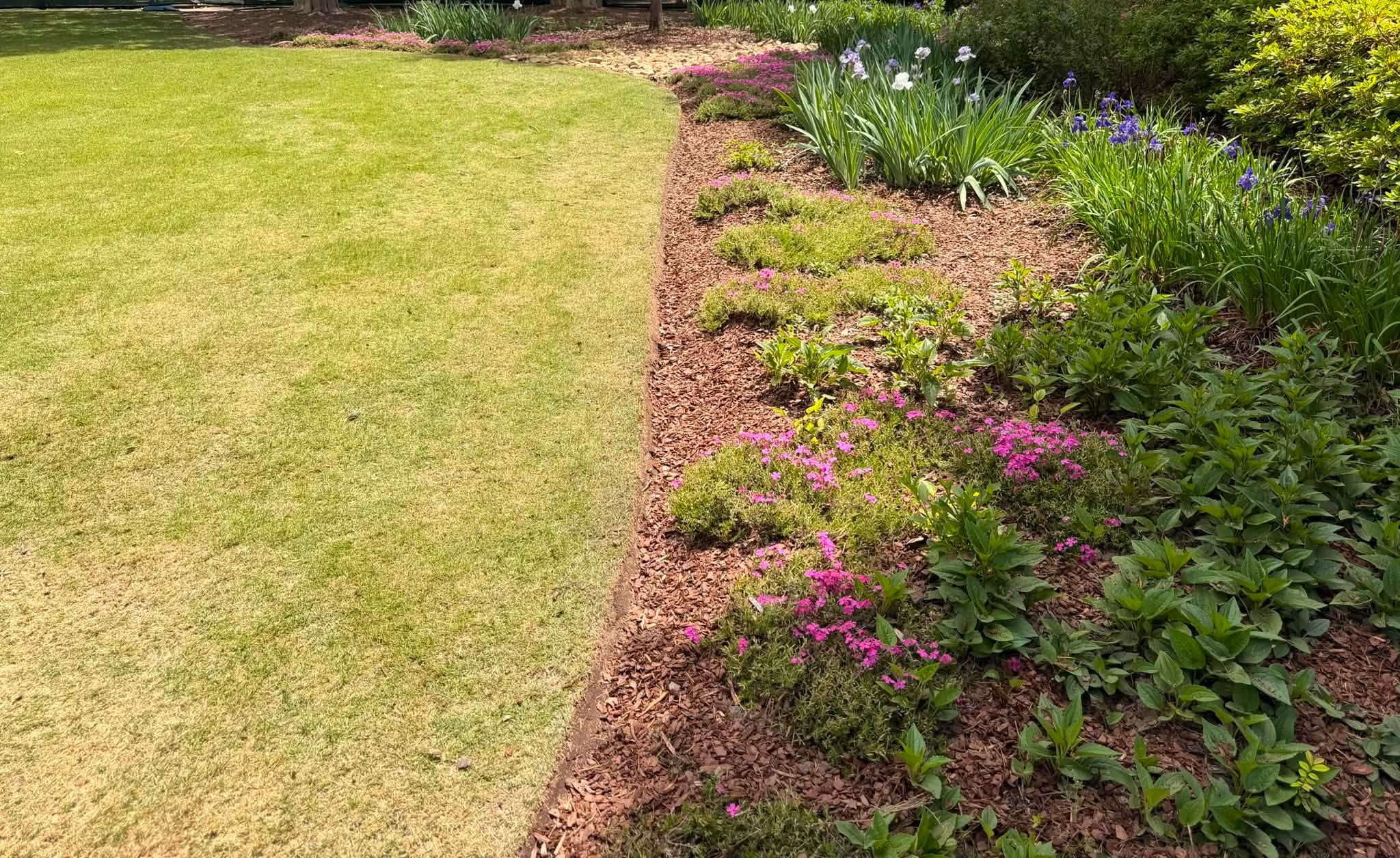 Curved lawn edge beside a colorful planted garden bed